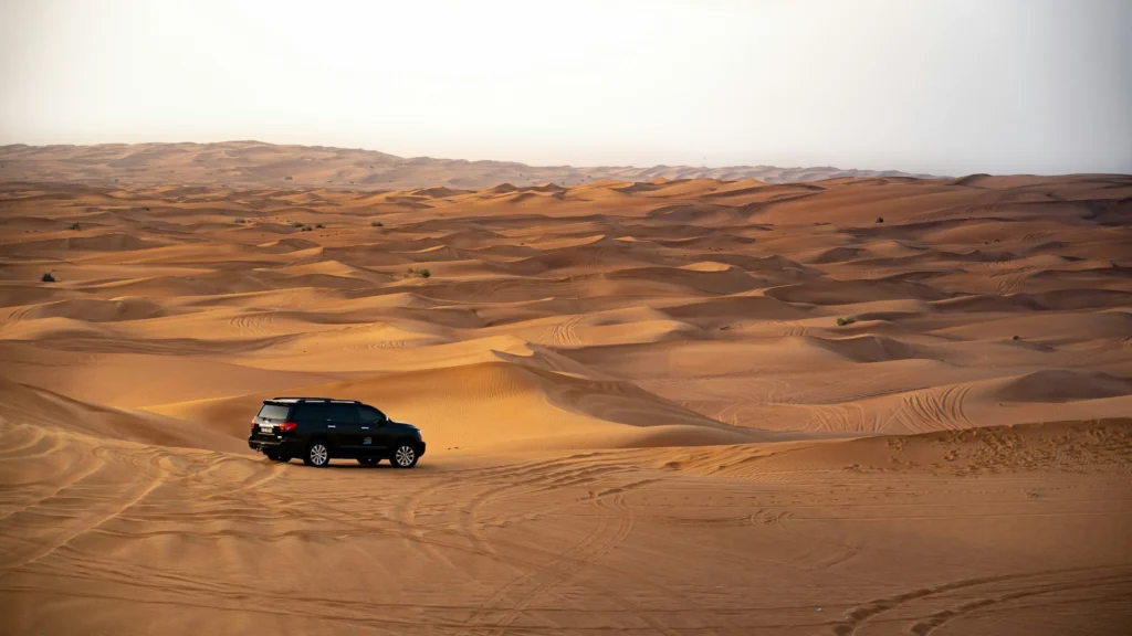 Dubai trip desert safari